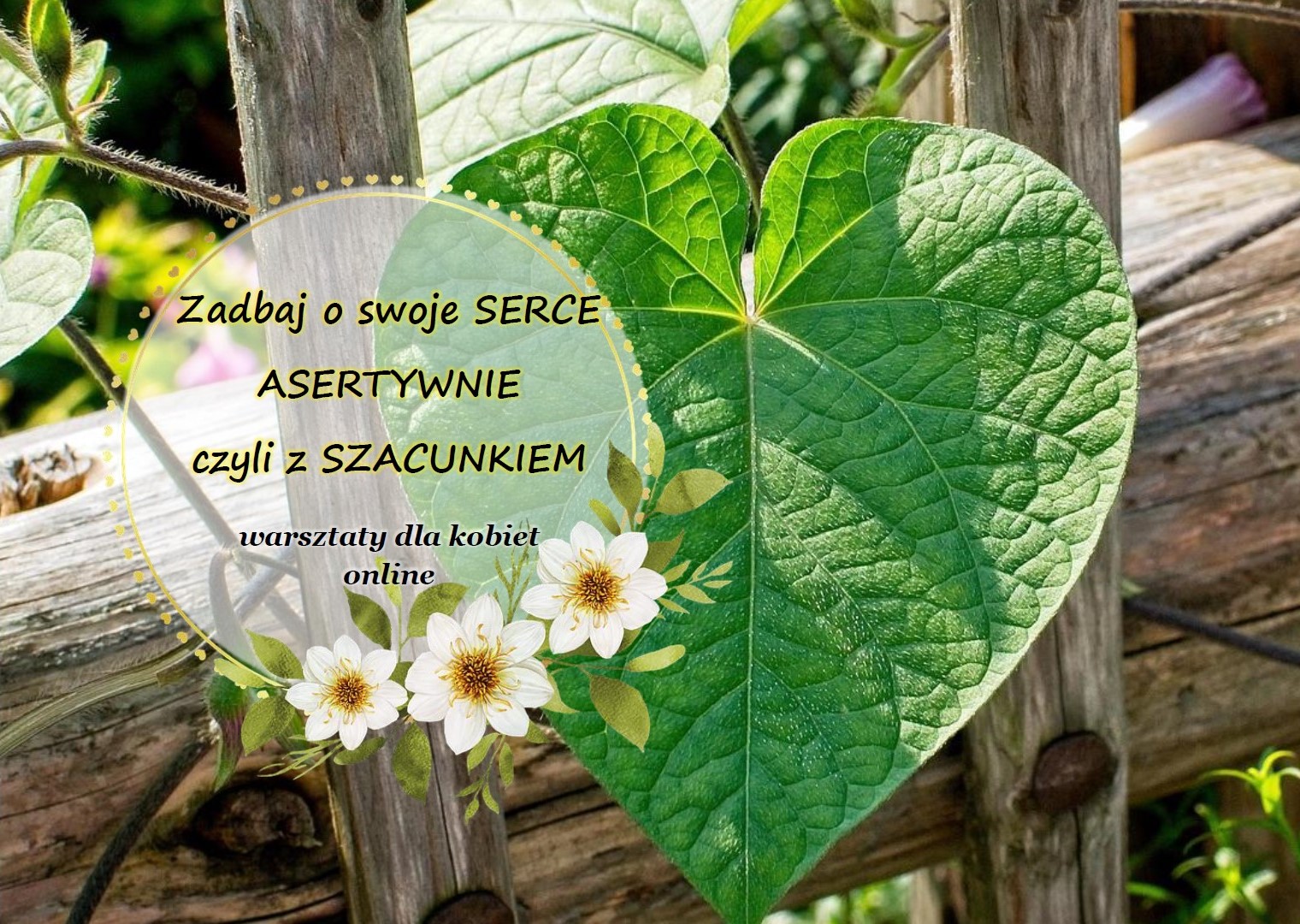 Zadbaj o swoje SERCE i ucz się ASERTYWNOŚCI - warsztaty dla kobiet online