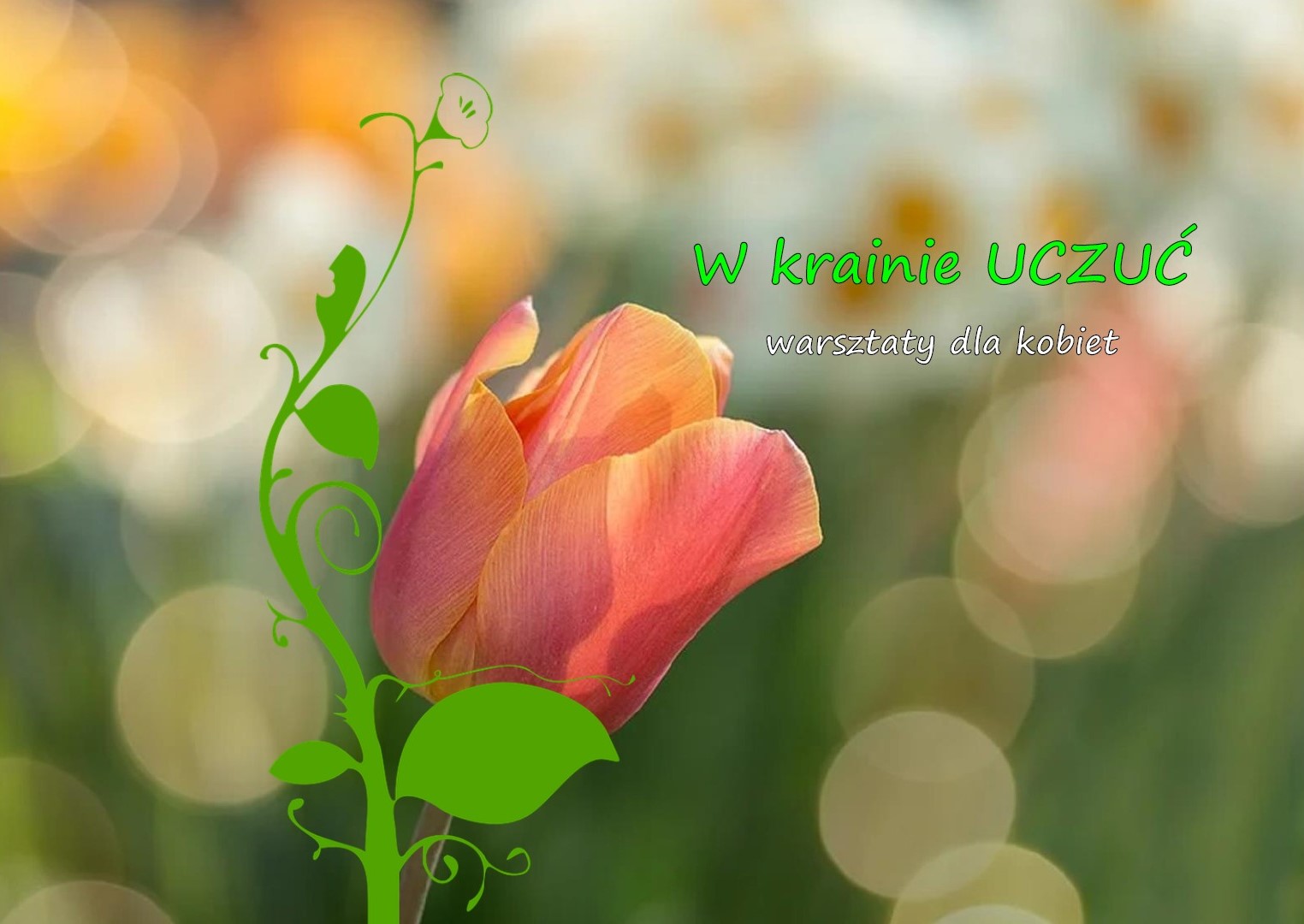 W krainie UCZUĆ - warsztaty dla kobiet